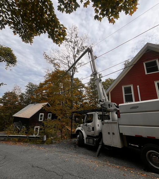 Line clearing in Central Vermont