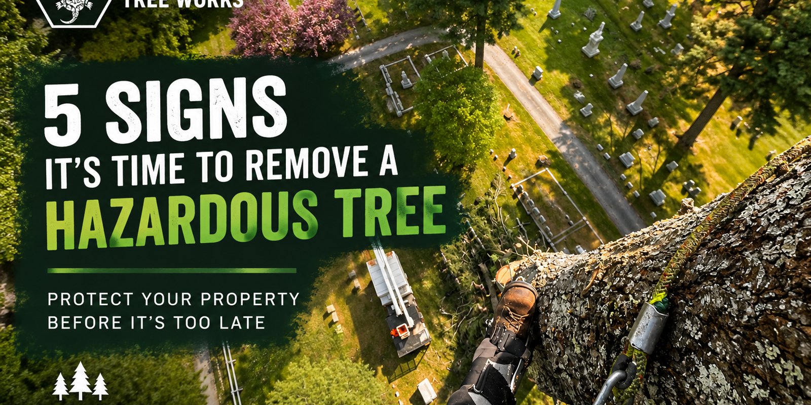 5 Signs It's Time to Remove a Hazardous Tree