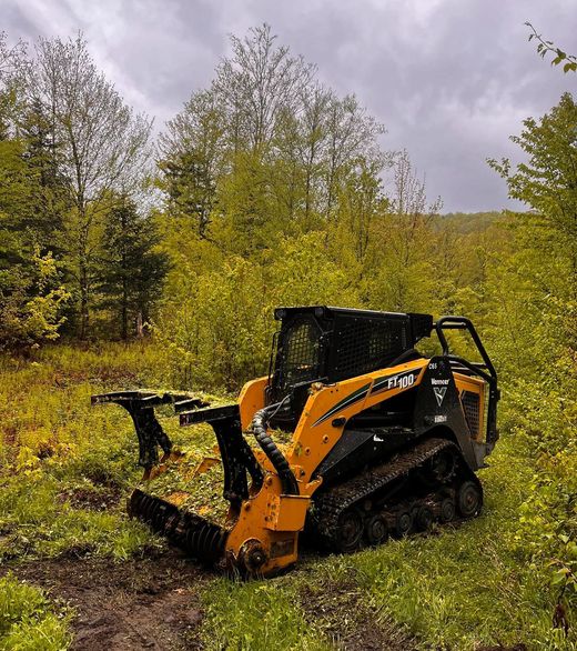 Forestry mulching on an overgrown property in Central Vermont