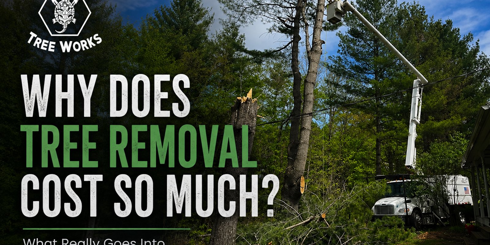 Why Does Tree Removal Cost So Much?